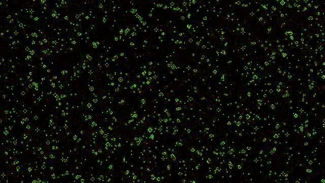 mold_life (video)